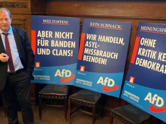 Wahlplakate der Hamburger AfD