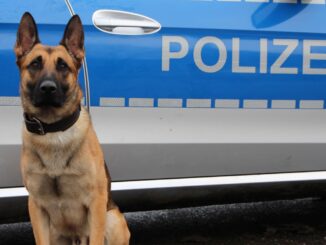 Diensthund Ori vor Streifenwagen