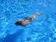 Frau im Schwimmbad