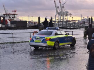 Streifenwagen am Fischmarkt