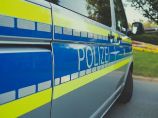 Streifenwagen im Park