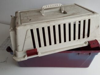 Transportbox