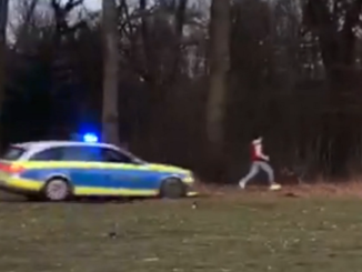Verfolgungsfahrt durch den Jenischpark