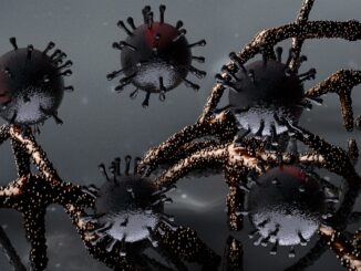 mutierte Corona-Viren